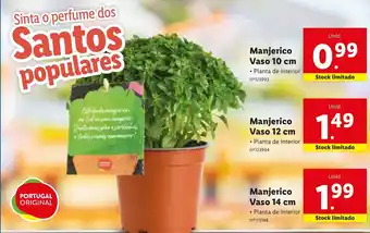 Lidl Manjerico Vaso 10cm promoção