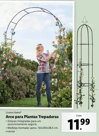 Arco Para Plantas Trepadoras