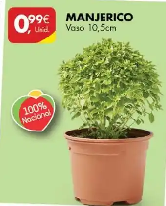 Pingo Doce Manjerico 10.5cm promoção