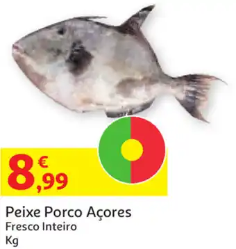 Auchan Peixe Porco Açores Fresco Inteiro promoção