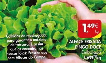 Pingo Doce Alface Frisada Pingo Doce promoção