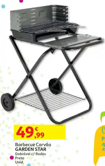 Auchan Barbeque Carvão Garden Star promoção