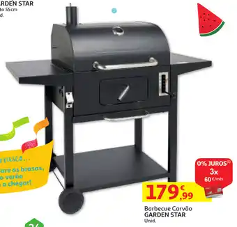 Auchan Barbeque Carvão Garden Star promoção