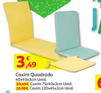 Coxim Quadrado 40x40x2cm