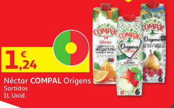 Auchan Néctar Compal Origens 1L promoção