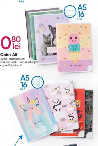 Pepco Caiet A5 16 file Ofertă