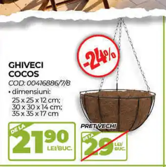 Ambient Ghiveci Cocos Ofertă