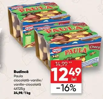 PROFI Dr. Oetker Budincă 4 x 125 g Ofertă