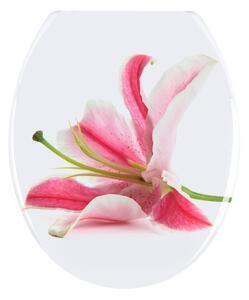 Capac wc wenko orchid, 45 x 37,5 cm