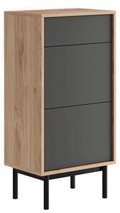 Favi Pantofar, stejar jaskson hickory/grafit, bergen bgd54 Ofertă