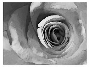 Favi Tapet în format mare artgeist paper rose, 400 x 309 cm Ofertă