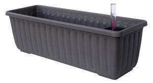 Favi Ghiveci cu auto-udare plastia siesta, lungime 60 cm, gri antracit Ofertă