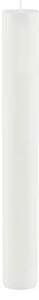 Favi Lumânare lungă ego dekor cylinder pure, timp de ardere 30 h, alb Ofertă