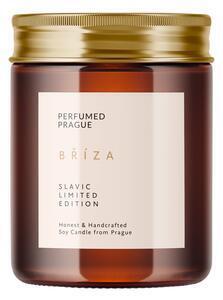 Favi Lumânare din ceară de soia cu parfum de mesteacăn perfumed prague, timp de ardere 40 h Ofertă