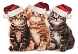 Favi Covoraș intrare hanse home christmas cats contour, 45 x 64 cm Ofertă