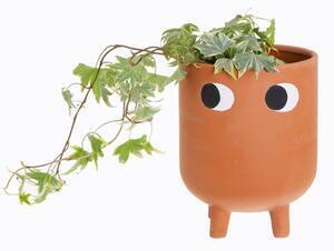 Favi Ghiveci din teracotă sass & belle leggy, ø 12,1 cm Ofertă