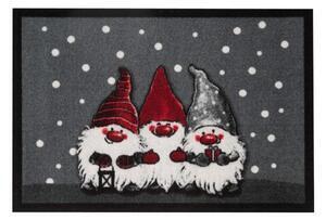Favi Covoraș intrare hanse home cristmas dwarfes, 40 x 60 cm Ofertă