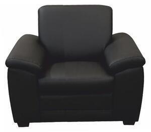 Favi Fotoliu, piele eco neagră, biter Ofertă