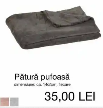 Kik Pătură pufoasă dimensiune: ca. 142cm, fecare Ofertă