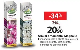 Carrefour Market Amia Arbust ornamental Magnolie este o plantă care preferă locurile însorite, semiînsorite Ofertă