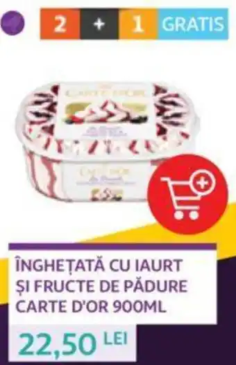 Carte D'Or înghețată cu iaurt și fructe de pădure 900 ml