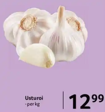 Selgros Usturoi per kg Ofertă