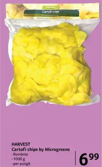 Harvest Cartofi chips by Microgreens Romănia 1000 g, per pungă