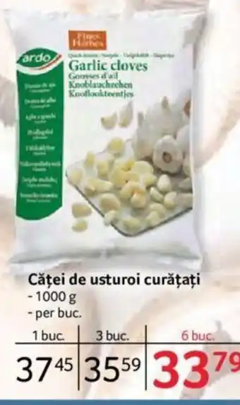 Selgros Ardo Căței de usturoi curățați 1000 g, per buc Ofertă