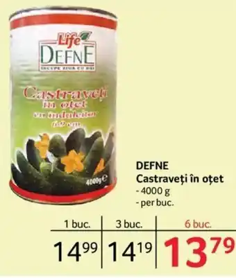 Selgros Defne Castraveți în oțet 4000 g, per buc. Ofertă