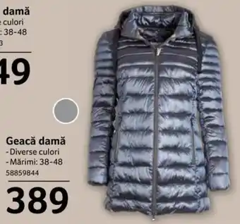 Selgros Geacă damă Diverse culori Mărimi 38-48 58859844 Ofertă