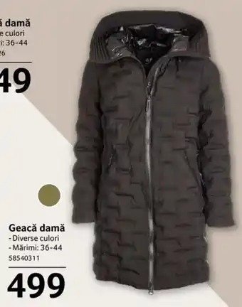 Selgros Geacă damă Diverse culori Mărimi 36-44 58540311 Ofertă