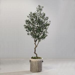 Favi Maslin artificial in ghiveci negru - 220 cm Ofertă