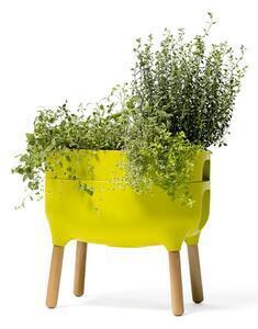 Favi Ghiveci pentru cultivarea plantelor plastia low urbalive, înălțime 48 cm, verde Ofertă