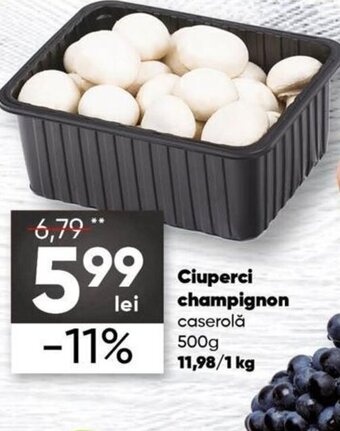 PROFI Ciuperci champignon caserolă 500 g Ofertă