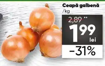 PROFI Ceapă galbenă 1 kg Ofertă