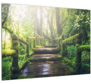 Favi Tablou - trepte din lemn în pădure (70x50 cm) Ofertă