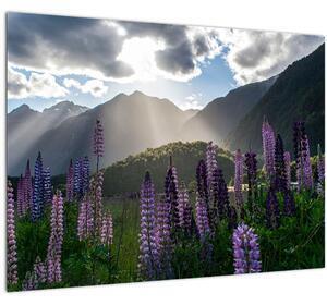 Favi Tablou - scenariu cu flori de lupin (70x50 cm) Ofertă