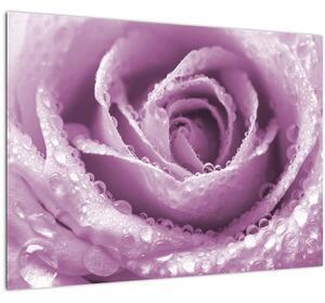 Favi Tablou detaliu de floare de trandafir (70x50 cm) Ofertă