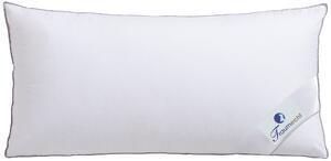 Favi Perna leo traumecht 80/40/18,5 cm Ofertă