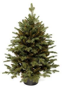 Favi Brad de crăciun artificial 3d în ghiveci verde smarald 60cm Ofertă