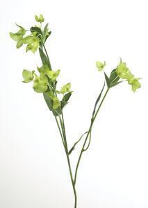 Crenguta cu flori artificiale sierra, fibre artificiale, verde, 64 cm