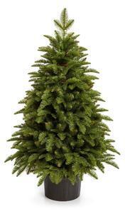 Favi Brad de crăciun artificial în ghiveci 3d mini 60cm Ofertă