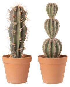 Favi Set 2 cactusi artificiali in ghiveci, plastic, verde, 12.5x12.5x33 cm Ofertă