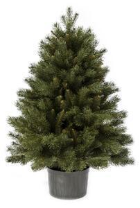 Favi Pom de crăciun 3d mini pin 60 cm în ghiveci Ofertă