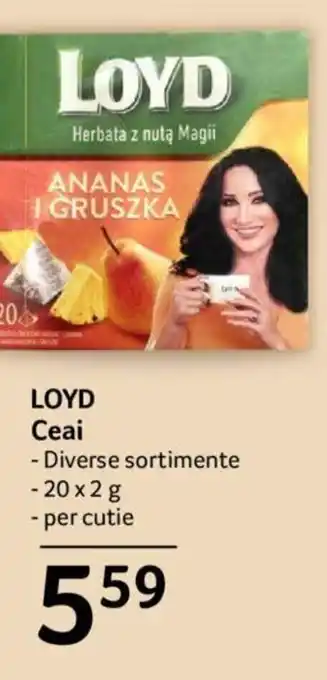 Selgros LOYD Ceai - Diverse sortimente -20x2 g Ofertă