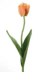 Favi Floare tulipe, fibre sintetice, 61 cm Ofertă