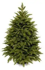 Favi Pom de crăciun artificial în ghiveci full 3d mini brad 100cm Ofertă