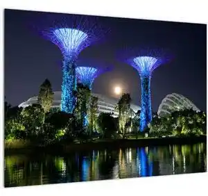 Favi Tablou cu lună plină în grădinile din singapur (70x50 cm) Ofertă