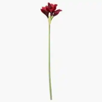 JYSK Floare artificialu0103 hjerte 70cm rou0219ie Ofertă