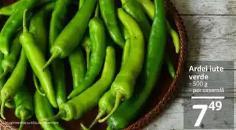 Selgros Ardei iute verde 500g Ofertă